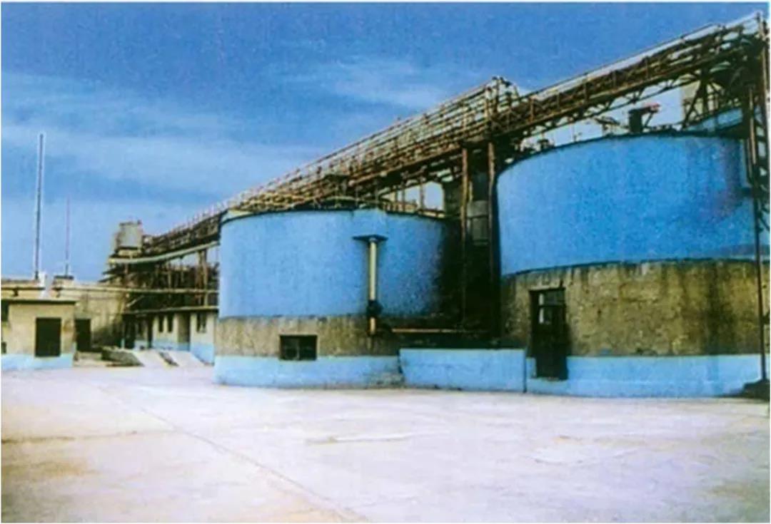 1589330929190054.jpg 1589330929190054.jpg